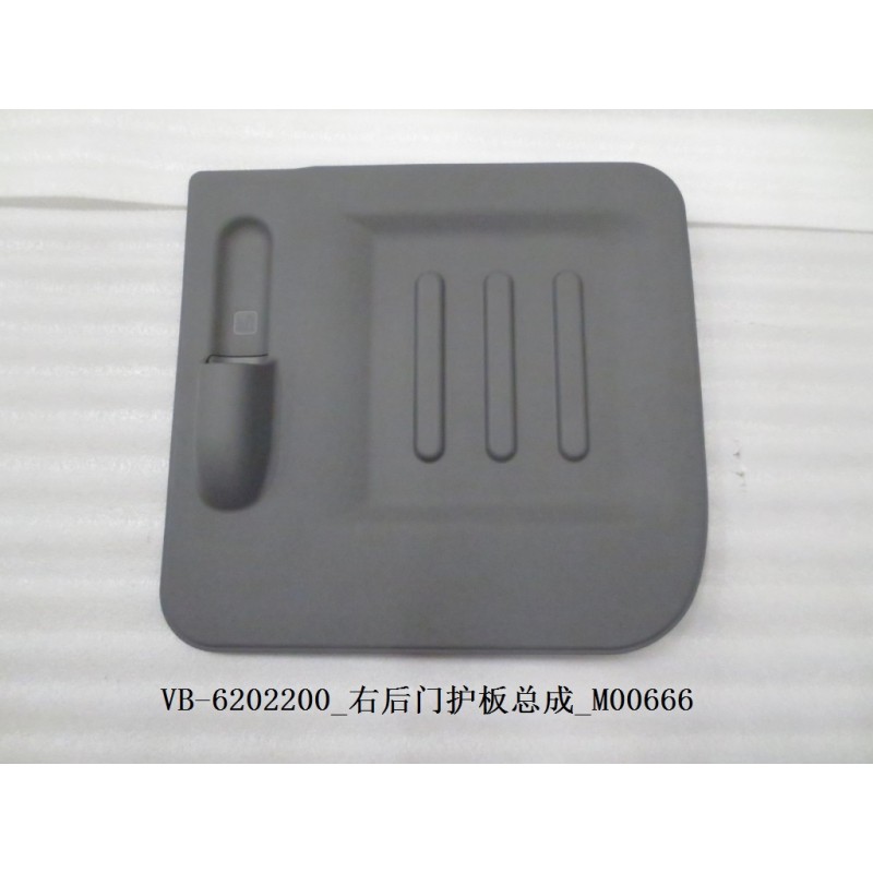 Protection de porte arrière droite - BYD - 11129277-00