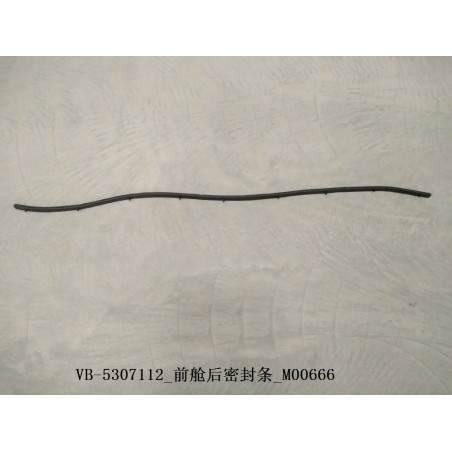Joint d'étanchéité arrière du compartiment avant - BYD - 11129189-00