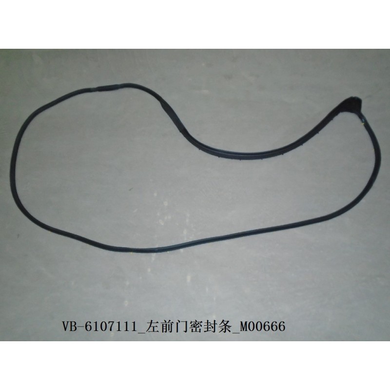 Joint d'étanchéité de la porte avant gauche - BYD - 11129002-00