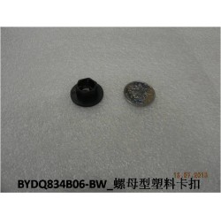 Clip en plastique de type écrou - BYD - 11048455-00