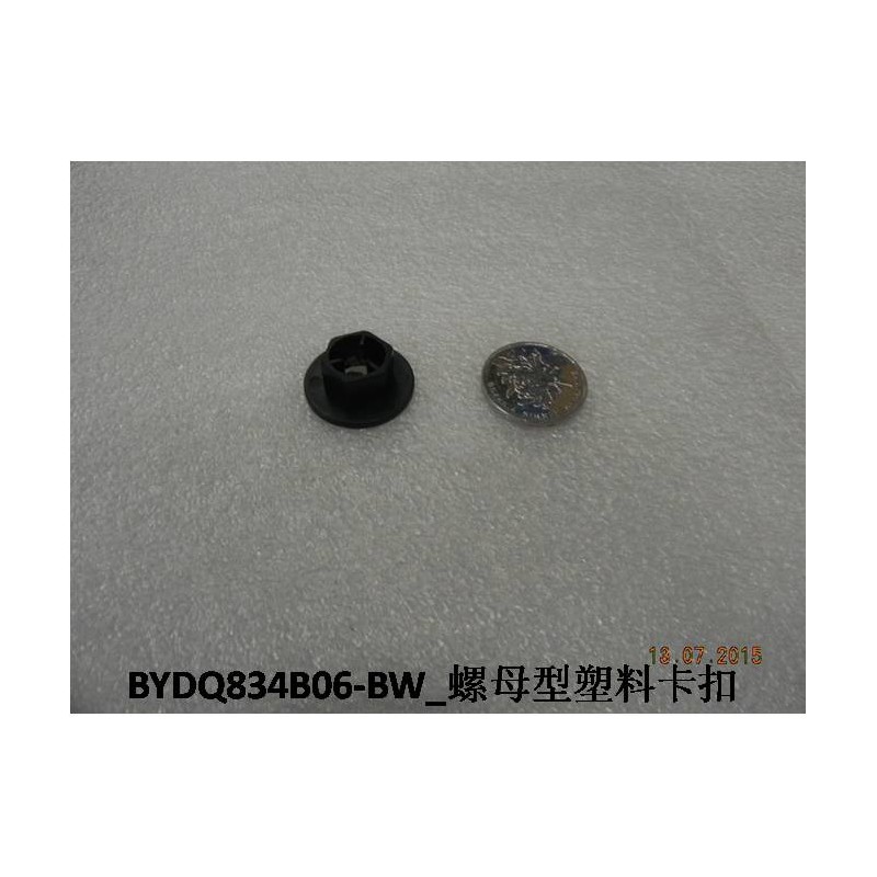 Clip en plastique de type écrou - BYD - 11048455-00
