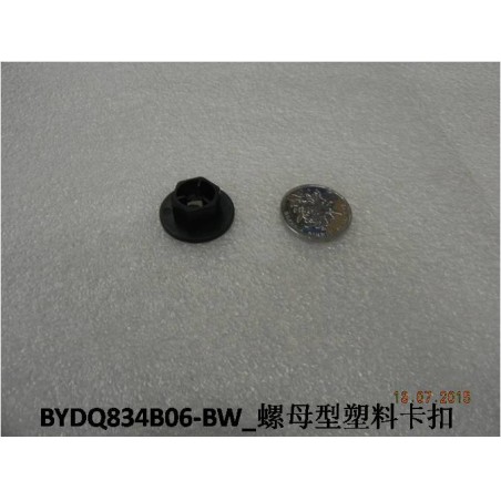 Clip en plastique de type écrou - BYD - 11048455-00