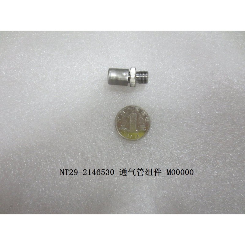 Tuyau de reniflard - BYD - 11042099-00