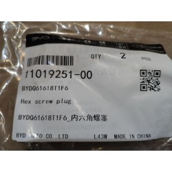 Bouchon à vis à six pans creux - BYD - 11019251-00