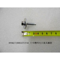 Boulon à tête hexagonale à empreinte Phillips avec indentation - BYD - 11010408-00