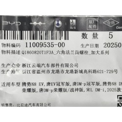 Boulon - BYD - 11009535-00