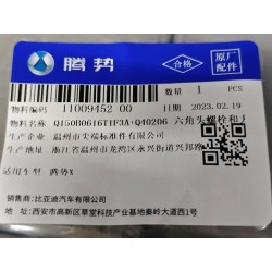 Boulon six pans - BYD - 11009452-00