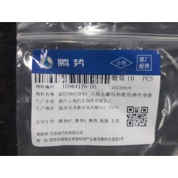 Écrou hexagonal - BYD - 10964176-00