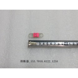 Fusible 125A - BYD - 10885900-00
