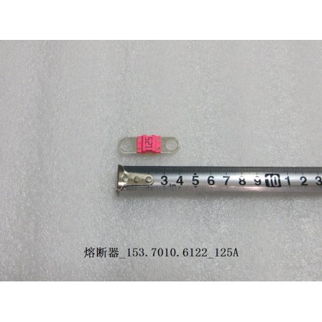 Fusible 125A - BYD - 10885900-00