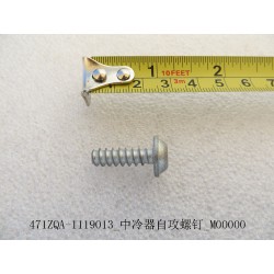 Vis autotaraudeuse - BYD - 10816221-00