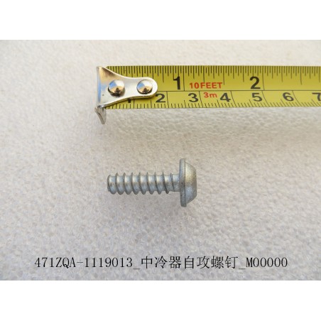 Vis autotaraudeuse - BYD - 10816221-00