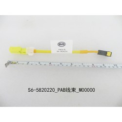 Faisceau de câbles PAB - BYD - 10795963-00