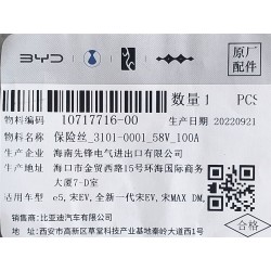 Fusible - BYD - 10717716-00
