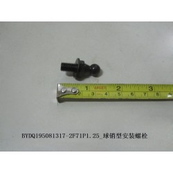 Boulon de montage de type goupille à rotule - BYD - 10691864-00