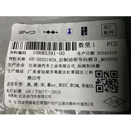 Guide de l'étrier de frein arrière II - BYD - 10685391-00