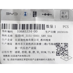 Fusible - BYD - 10685334-00
