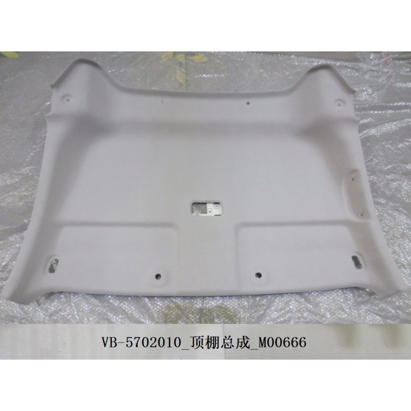 Toit - BYD - 10617991-00
