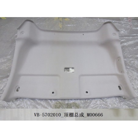 Toit - BYD - 10617991-00