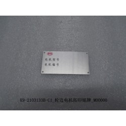 Plaque signalétique frottant contre le moteur-roue - BYD - 10578772-00