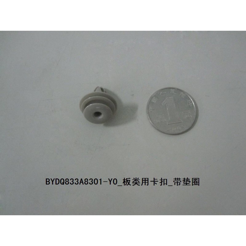 Plaque de type boucle - Avec rondelle - BYD - 10564014-00