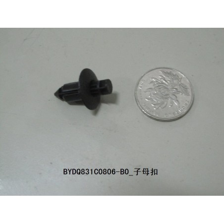 Bouton-pression - BYD - 10554976-00