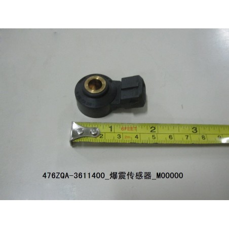 Capteur de cliquetis - BYD - 10509784-00