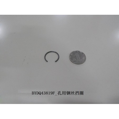 Bague de retenue en fil d'acier pour les trous - BYD - 10499917-00