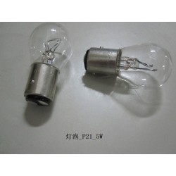 Ampoule - BYD - 10457924-00