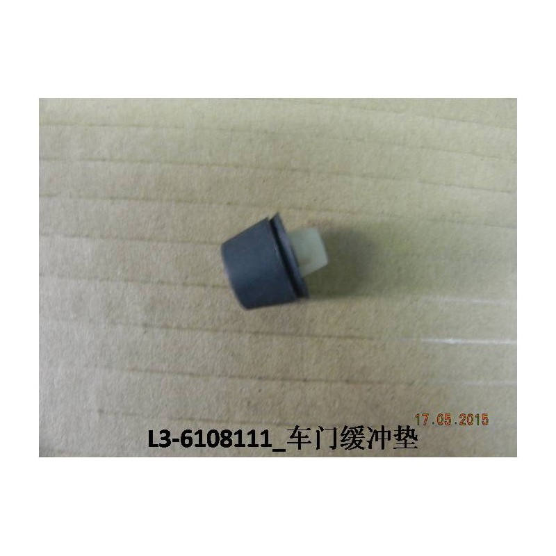 Coussinet de porte - BYD - 10432774-00