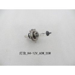 Ampoule - H4 - 12V - 60/55W - lampe à filament - BYD - 10388308-00