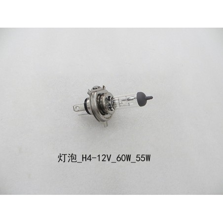 Ampoule - H4 - 12V - 60/55W - lampe à filament - BYD - 10388308-00