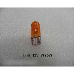 Ampoule - BYD - 10335625-00
