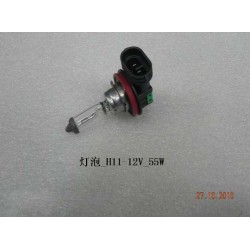 Ampoule - BYD - 10335621-00