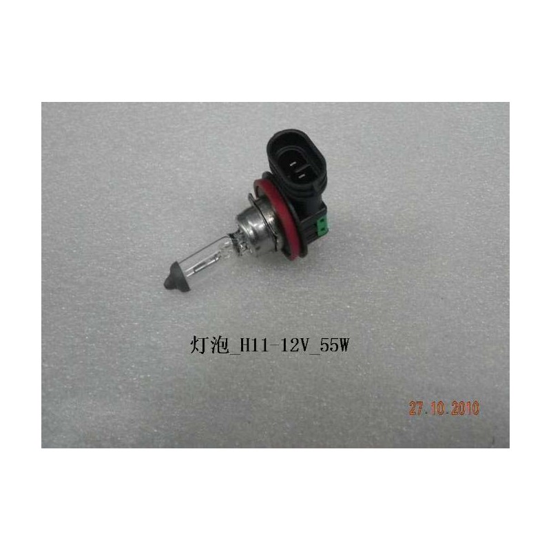 Ampoule - BYD - 10335621-00