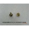 Capacité de charge de la sangle à tête cylindrique en forme de fleur hexagonale - BYD - 10293085-00