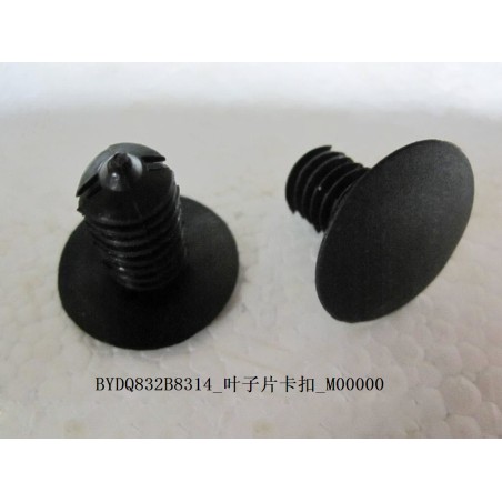 Noir - BYD - 10291808-00