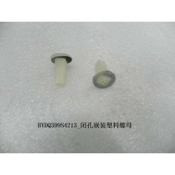 Écrou d'expansion en plastique avec extrémité fermée - BYD - 10273955-00
