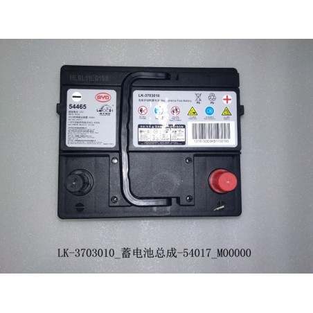 Batterie - BYD - 10253697-00