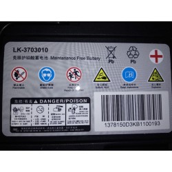 Batterie - BYD - 10253697-00