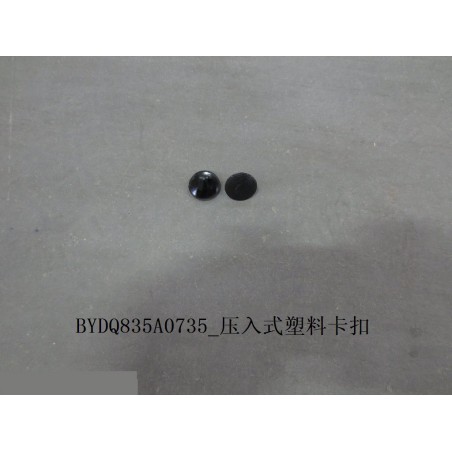 Pression par enclipsage en plastique - BYD - 10250355-00