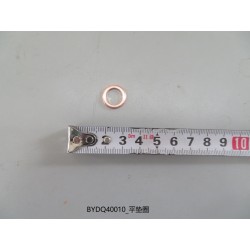 Rondelle plate - BYD - 10215290-00