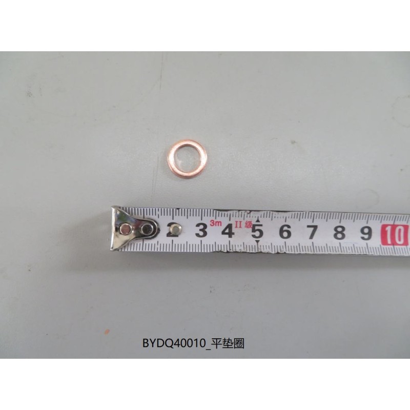 Rondelle plate - BYD - 10215290-00
