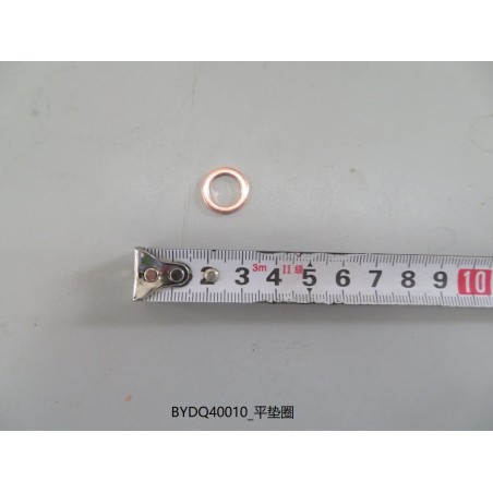 Rondelle plate - BYD - 10215290-00