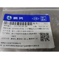 Vis autotaraudeuse - BYD - 10179218-00