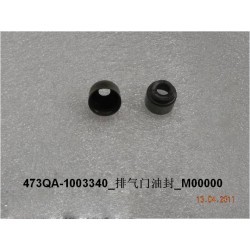 Joint d'huile de la soupape d'échappement - BYD - 10149466-00