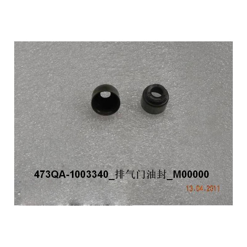 Joint d'huile de la soupape d'échappement - BYD - 10149466-00