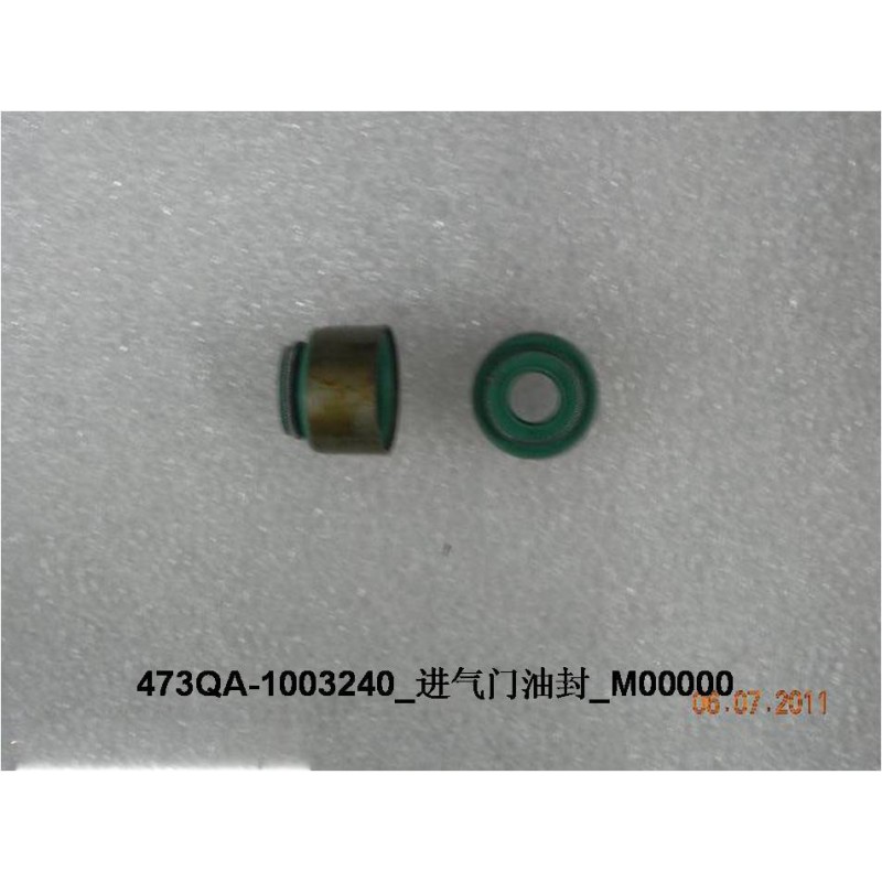 Joint d'huile de la soupape d'admission - BYD - 10149458-00