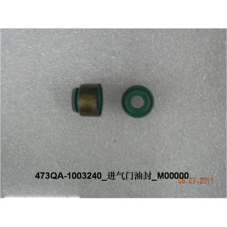 Joint d'huile de la soupape d'admission - BYD - 10149458-00