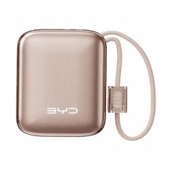 Batterie externe BYD 10000 mAh - Doré - 21081132-00